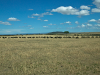 the-great-wildebeest-migration-kenya