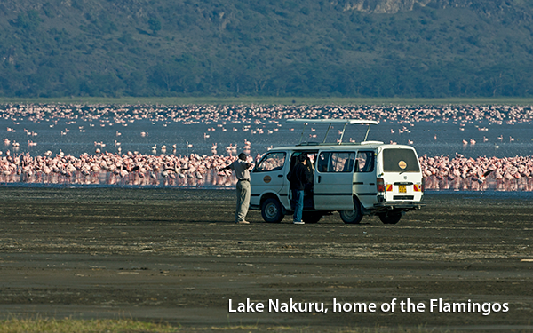 lake-nakuru-home-of-the-flamingos