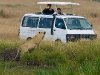africa-safari-vehicle-1_0
