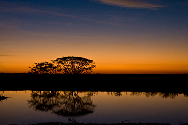 pantanal_brazil-scenery