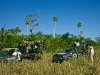pantanal-photographic-vehicles