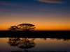 pantanal_brazil-scenery