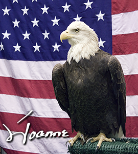 Joanne-Signature-Eagle