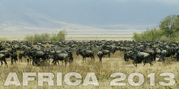 Africa-2013