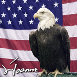 Joanne-Signature-Eagle