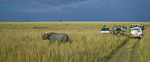Photo-Safari-in-Kenya