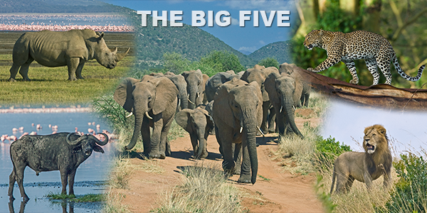 The-Big-Five