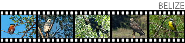 belize-film-strip